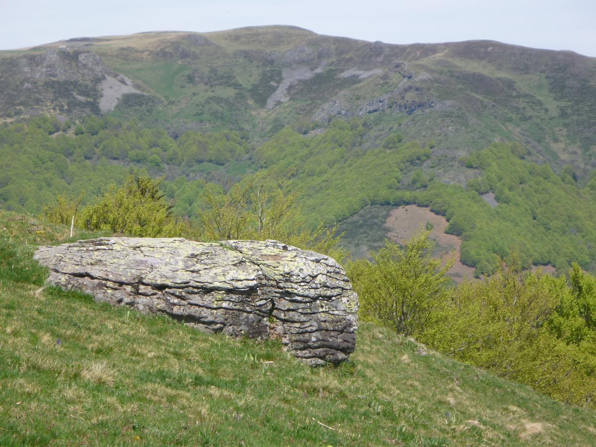 Auberge De L'Aspre Fontanges Exteriör bild