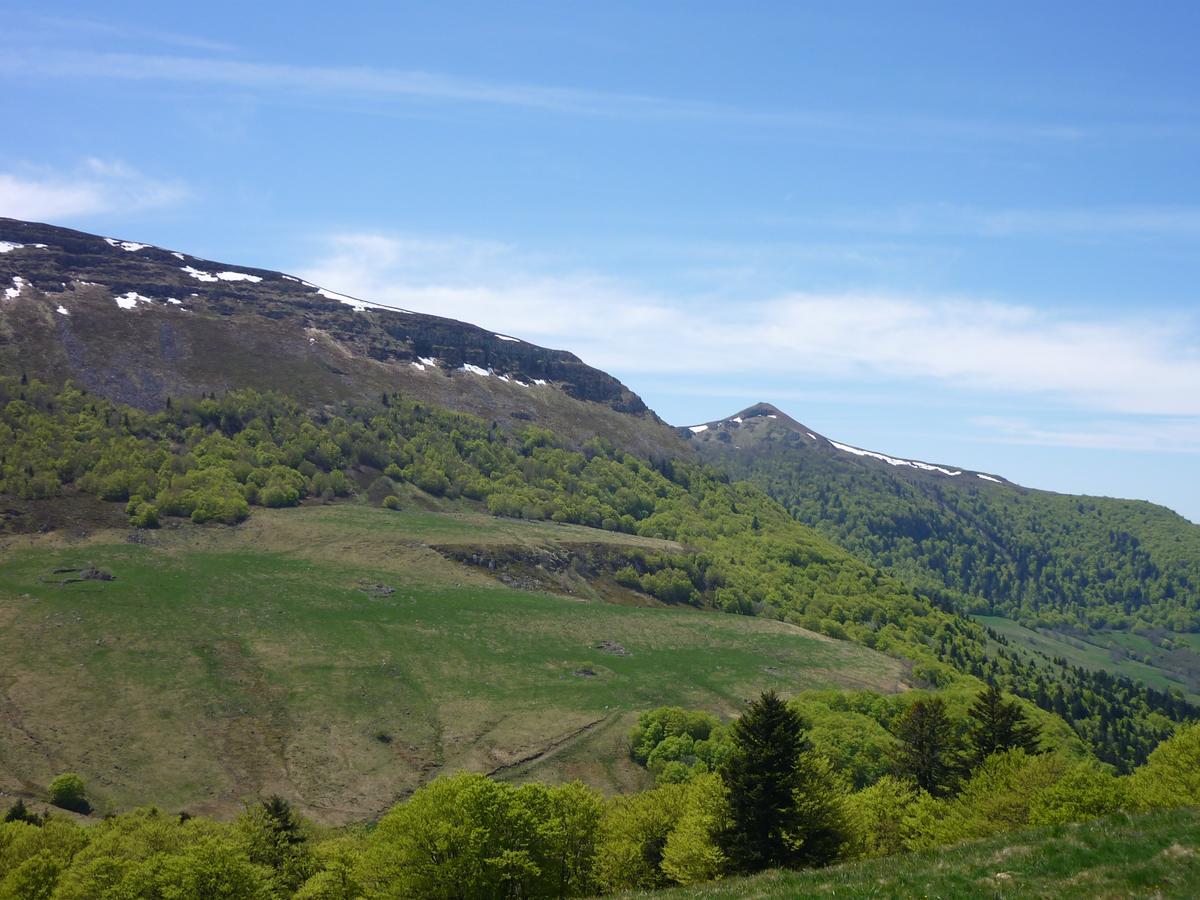 Auberge De L'Aspre Fontanges Exteriör bild